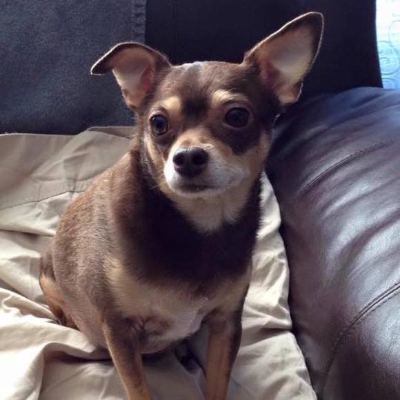 Meet your Posher, Cindy - Picture 1 of 1